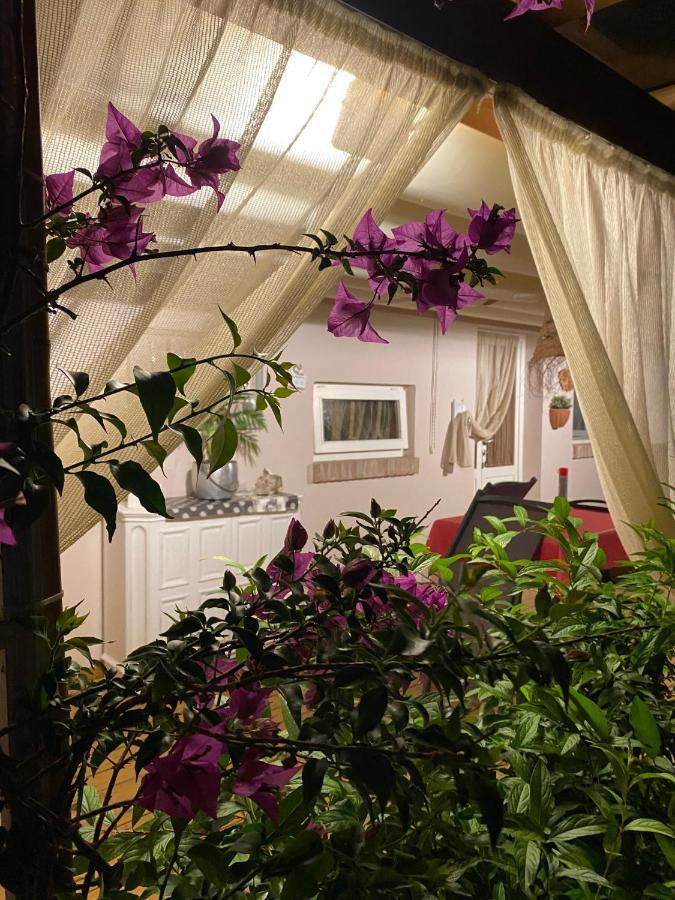 Ancora Bilocale Villa Marina di Massa Dış mekan fotoğraf