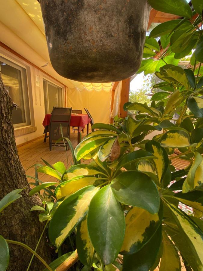 Ancora Bilocale Villa Marina di Massa Dış mekan fotoğraf