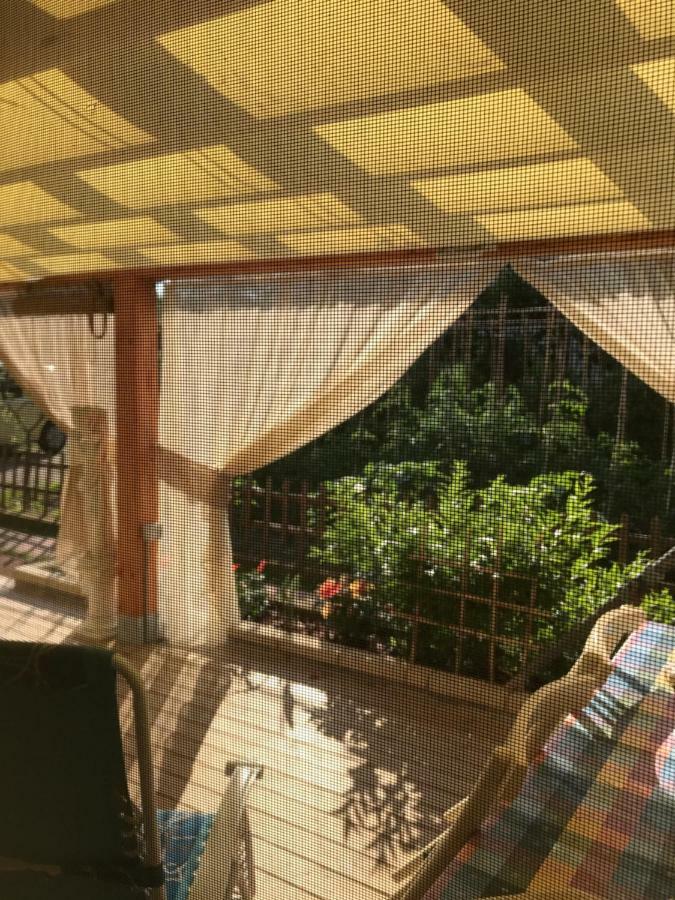 Ancora Bilocale Villa Marina di Massa Dış mekan fotoğraf