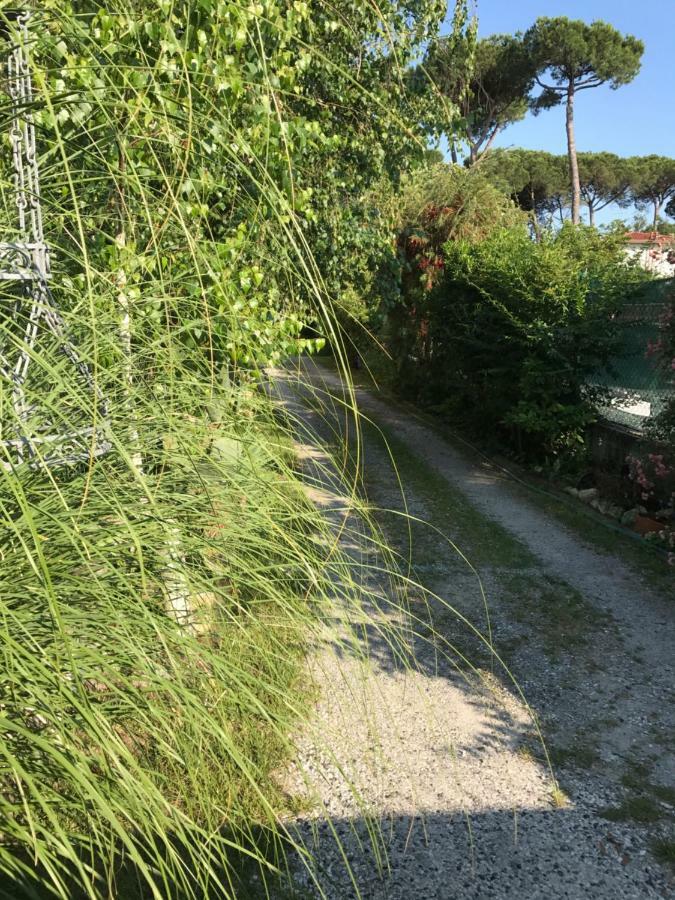 Ancora Bilocale Villa Marina di Massa Dış mekan fotoğraf
