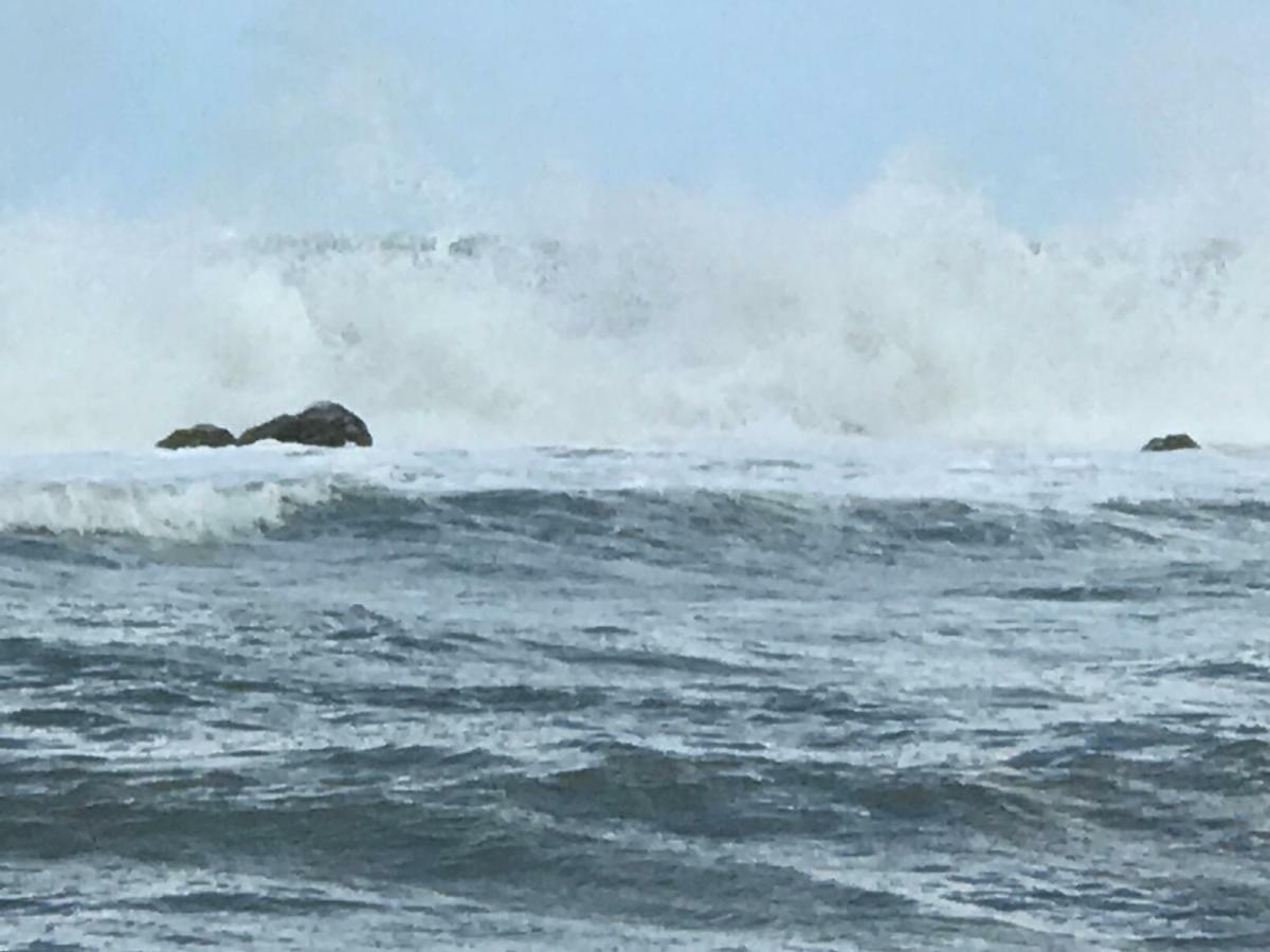 Ancora Bilocale Villa Marina di Massa Dış mekan fotoğraf