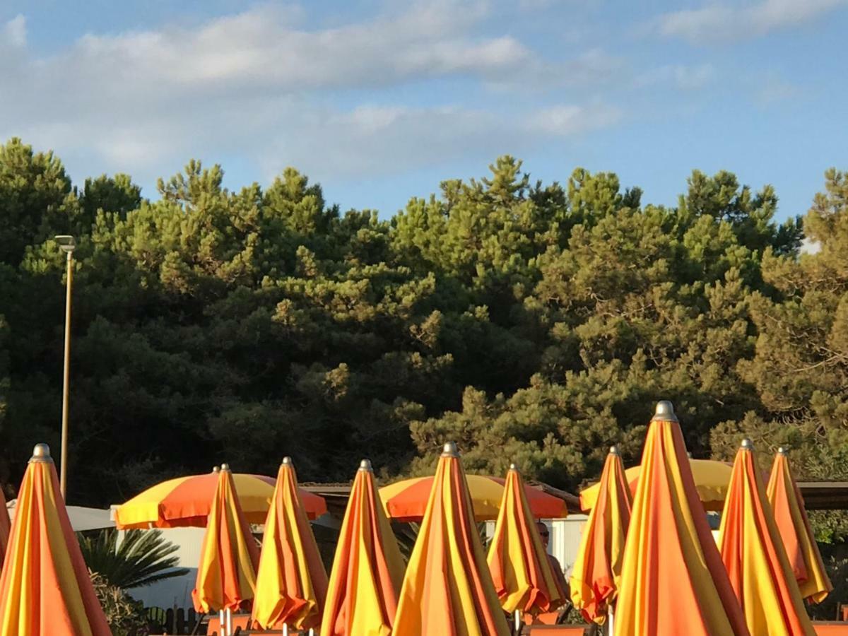 Ancora Bilocale Villa Marina di Massa Dış mekan fotoğraf